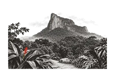 Um penedo de granito sobre a mata atlântica, no espírito da Pedra da Gávea; uma flor de helicônia vermelha em primeiro plano.