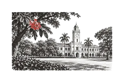 Um prédio universitário com torre de relógio, visto do gramado sob árvores; um ramo de flores vermelhas em primeiro plano.