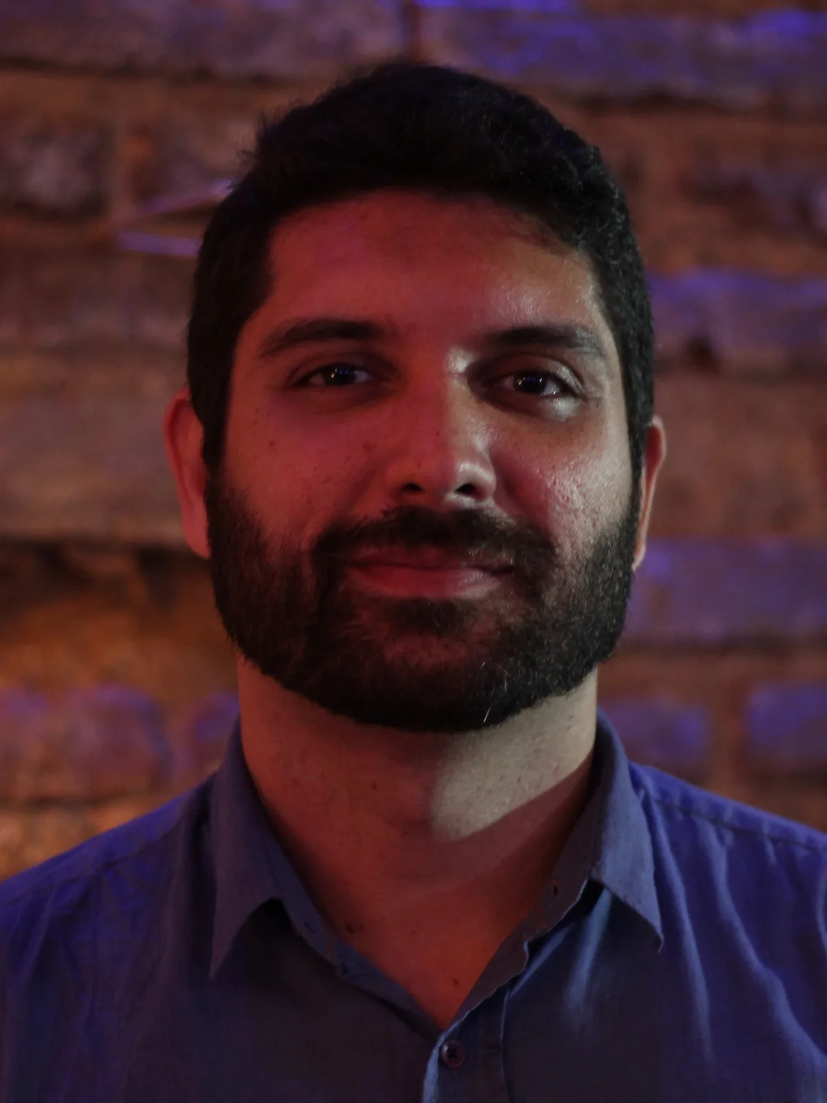 Retrato de frente, camisa azul, parede de tijolos com luz colorida ao fundo. Novembro de 2015. É a foto do Currículo Lattes.